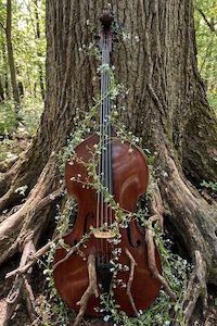 Avatar de l’utilisateur